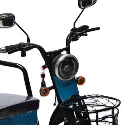 Camión familiar Triciclo eléctrico para ancianos 200-300 kg Capacidad de carga útil Tipo de carrocería abierta