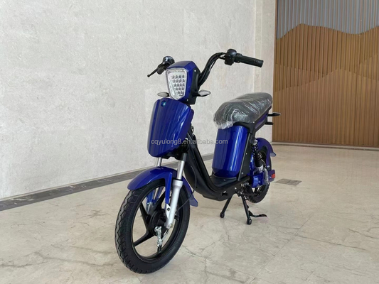 Bicicleta eléctrica con pantalla LCD personalizada con funcionalidad simple asistida por energía