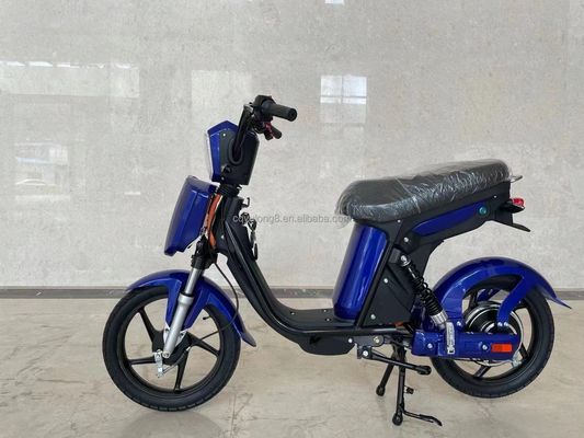 Bicicleta eléctrica con pantalla LCD personalizada con funcionalidad simple asistida por energía