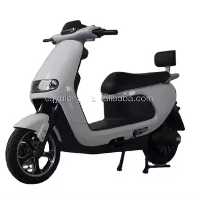 Experimenta la potencia y la velocidad de nuestra bici eléctrica de 1500W/2000W para conductores adultos
