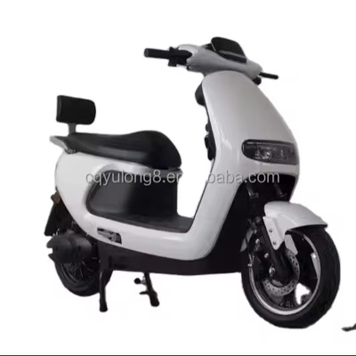 Experimenta la potencia y la velocidad de nuestra bici eléctrica de 1500W/2000W para conductores adultos