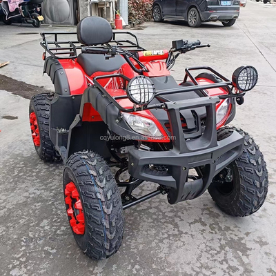 Electric Start 250cc Quad Bike con motor de 500W y diseño todo terreno impulsado por eje