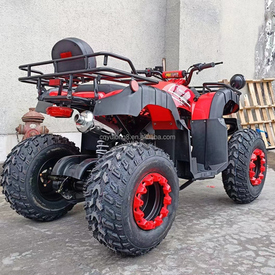 Electric Start 250cc Quad Bike con motor de 500W y diseño todo terreno impulsado por eje