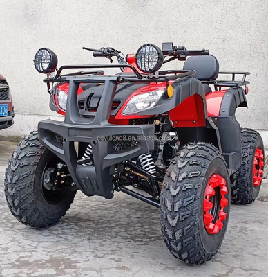 Electric Start 250cc Quad Bike con motor de 500W y diseño todo terreno impulsado por eje