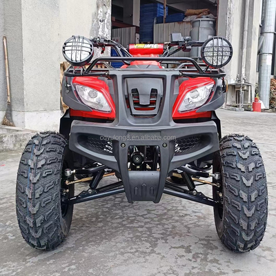 Electric Start 250cc Quad Bike con motor de 500W y diseño todo terreno impulsado por eje