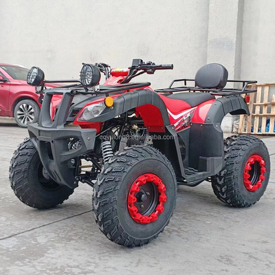 Electric Start 250cc Quad Bike con motor de 500W y diseño todo terreno impulsado por eje