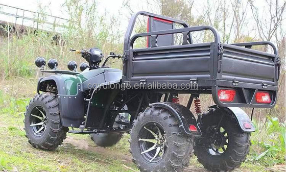 Bicicleta de campo de 250cc con transmisión automática y batería de 60V