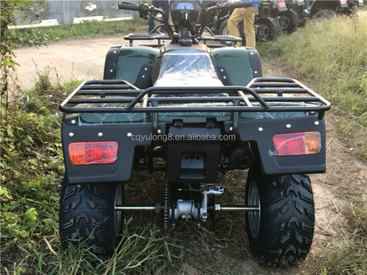 4x4 Buggy Motor ATV UTV 200cc para adultos Tipo de transmisión automática Velocidad máxima 80km/h