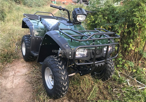4x4 Buggy Motor ATV UTV 200cc para adultos Tipo de transmisión automática Velocidad máxima 80km/h