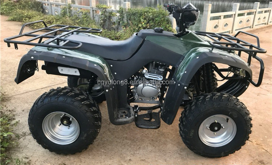 4x4 Buggy Motor ATV UTV 200cc para adultos Tipo de transmisión automática Velocidad máxima 80km/h