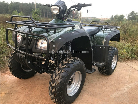 4x4 Buggy Motor ATV UTV 200cc para adultos Tipo de transmisión automática Velocidad máxima 80km/h