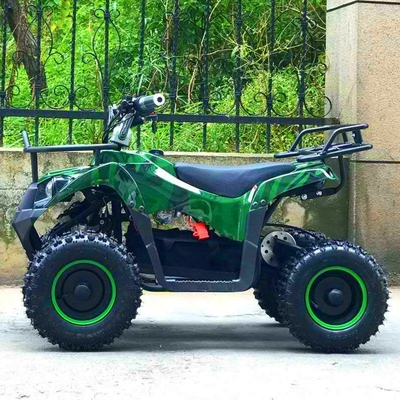 ATV eléctrico 800w Mini Quad Bike para adultos y niños Pequeño Off-Road Outdoor Sports Car