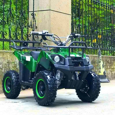 ATV eléctrico 800w Mini Quad Bike para adultos y niños Pequeño Off-Road Outdoor Sports Car