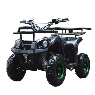 Mini ATV eléctrico de 800w para niños y adultos Pequeña bicicleta eléctrica de cuatro ruedas todoterreno ATV