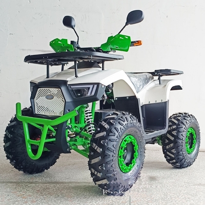 36V Mini eléctrico ATV exterior para niños y adultos 800W motor de eje Off-Road Bike