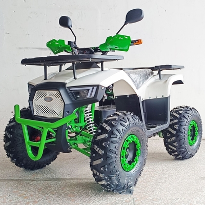 36V Mini eléctrico ATV exterior para niños y adultos 800W motor de eje Off-Road Bike
