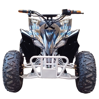 Capacidad de carga 400-1000 kg Conveniente bicicleta eléctrica de cuatro ruedas 800w Vehículo de playa