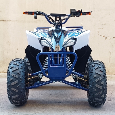 Capacidad de carga 400-1000 kg Conveniente bicicleta eléctrica de cuatro ruedas 800w Vehículo de playa