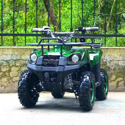 500-800W motor de accionamiento por eje eléctrico Mini ATV Buggy 4 ruedas Quad Bike para niños y adultos