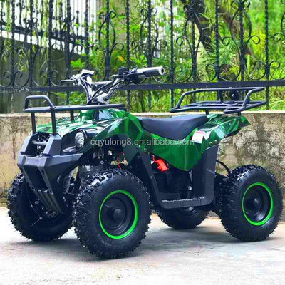 500-800W motor de accionamiento por eje eléctrico Mini ATV Buggy 4 ruedas Quad Bike para niños y adultos