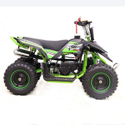 Mini ATV eléctrico para niños 36V 24V 350W 500W 800W 1000W para adultos en varios colores