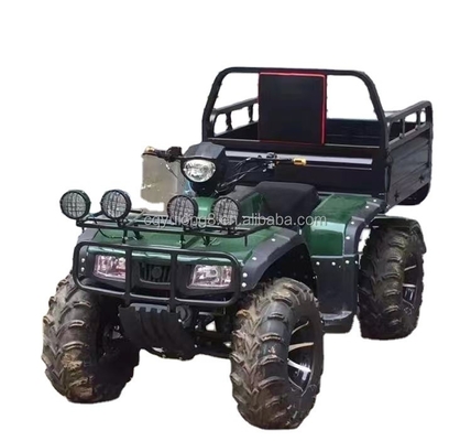 Carga de motocicletas de cuatro ruedas fuera de carretera ATV UTV con capacidad de carga útil de 100-200 kg