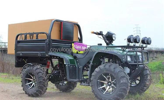 Carga de motocicletas de cuatro ruedas fuera de carretera ATV UTV con capacidad de carga útil de 100-200 kg