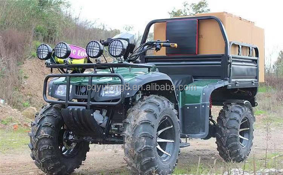 Carga de motocicletas de cuatro ruedas fuera de carretera ATV UTV con capacidad de carga útil de 100-200 kg