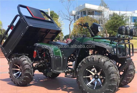 Carga de motocicletas de cuatro ruedas fuera de carretera ATV UTV con capacidad de carga útil de 100-200 kg