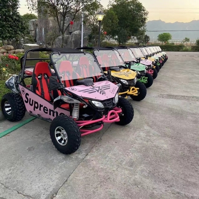 Off Road Adventure Hot UTV 4x4 con motor de gasolina de 150cc 200cc 300cc Certificado CEE