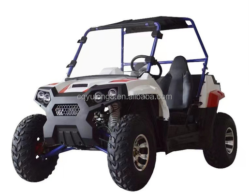1 cilindro 1500W 2000W Side by Side Farm UTV eléctrico con 2 asientos y bloqueo diferencial