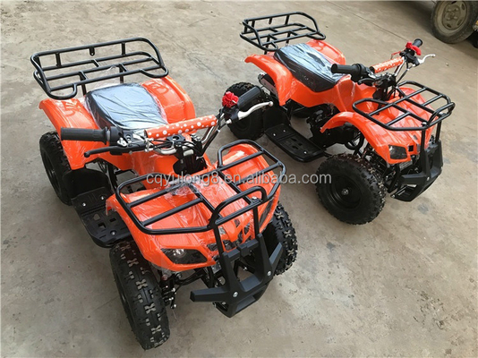 125cc Off Road ATV Quad Bike con diseño personalizable y capacidad del tanque de combustible ≤10L