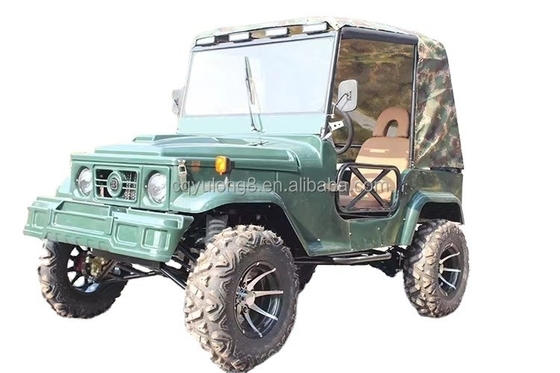 2 asientos para adultos 200cc 300cc Sistema de transmisión por eje 2WD Cuatro ruedas Buggy Car UTV 4x4 Jeeps