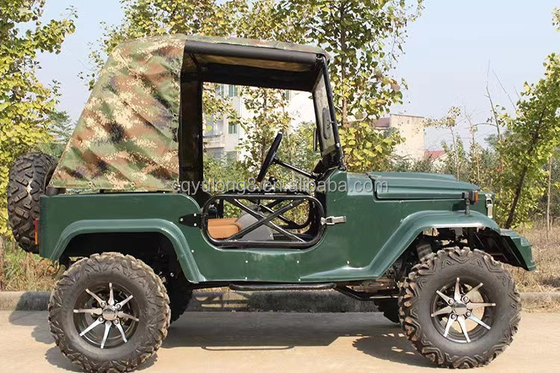 2 asientos para adultos 200cc 300cc Sistema de transmisión por eje 2WD Cuatro ruedas Buggy Car UTV 4x4 Jeeps