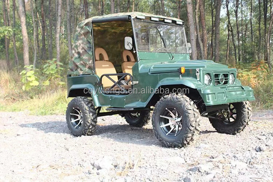 2 asientos para adultos 200cc 300cc Sistema de transmisión por eje 2WD Cuatro ruedas Buggy Car UTV 4x4 Jeeps