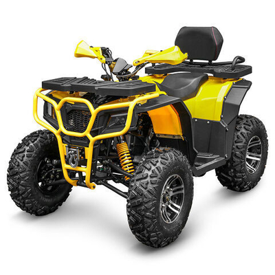 250cc de gasolina ATV Quad Bike Buggy UTV 200cc motocicleta todoterreno con motor potente