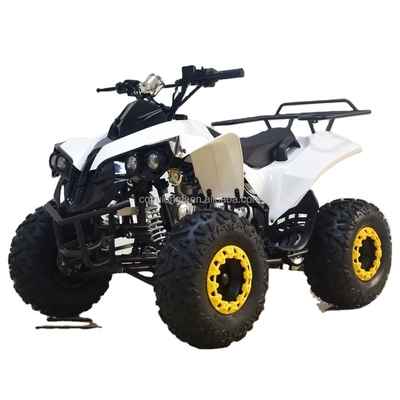49cc 50cc 125cc Mini Quad Bike ATV con motor de gas para niños o adultos con distancia entre ejes 1000-1400mm