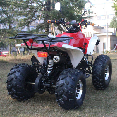 49cc 50cc 125cc Mini Quad Bike ATV con motor de gas para niños o adultos con distancia entre ejes 1000-1400mm